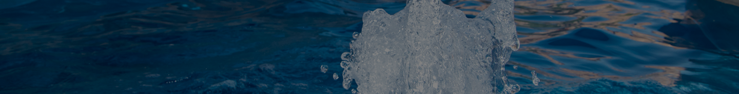 sub-banner